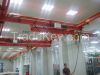 Overhang Telescopic Crane