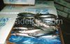 Frozen Mackerel Whole Round