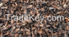 Palm Kernel Shells (PK...