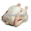 Clean Freshly Frozen Chicken Thighs, Chicken Drumsticks and Other Chicken Parts