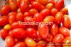 fresh green/red tomato...