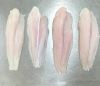 AGIFISH Pangasius/Basa...