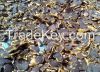 Dried Kaempferia Pafif...