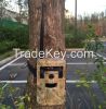 Balever 3G Network Wild Cameras Outdoors Hunting Cameras 3G MMS Trap Cameras Hunter Cameras 3G MMS Network Forest Cameras OEM factory