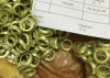 Coller H2-4130-54  of ...