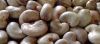 Raw Cashew Nuts  grade...