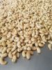 Cashew Nuts kernels fr...