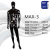 Hot Sale European Male Mannequin for Fashion Display