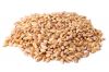 wheat  grain