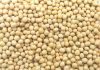 High Quality Grade A Soybeans from Nigeria