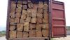 KOSSO WOOD | High Qual...