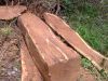 KOSSO WOOD | High Qual...