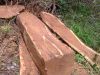 High Quality Original Nigerian Kosso Wood 