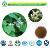 Natural Epimedium Leaf Extract 98% Icarrin