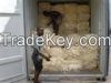 Good Quality Sisal Fibers