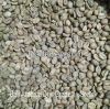 Arabica Coffee Beans