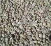 Arabica Coffee Beans