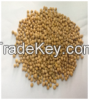 Ethiopian soybeans