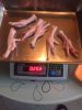 Chicken Feet