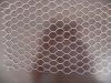 Galvanized Hexagonal Wire Netting Wire Mesh Supplier