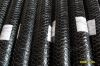 Galvanized Hexagonal Wire Netting Wire Mesh Supplier