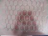 PVC Coated Rabbit wire mesh/chicken wire/ Hexagonal wire mesh From Direct Manufacturer
