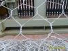 Hexagonal chicken wire mesh