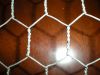 Galvanized Hexagonal Wire Netting Wire Mesh Supplier