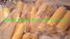 Frozen Whole/chunk/ kernel Corn with premium quality and competitive price