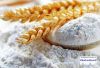 Wheat Flour TOP/First ...