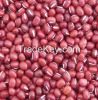 Adzuki beans small red beans with good quality 