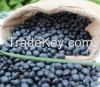 Black beans with resonable price 