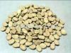 Broad beans with good quality best price 