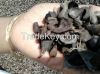 Palm Kernel Shell