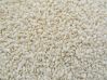 sesame seeds