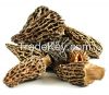 dried morel mushrooms