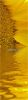 Crude sunflower oil in...