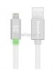 Xtrememac Flat LED Lightning Cable