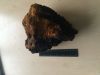 Dry chaga