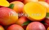 Fruits 
