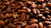 Cocoa Beans