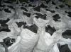 Hardwood Charcoal of h...