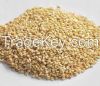 African Sesame seed