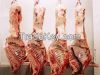 Beef Carcass - Grade A...