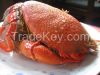 Spanner Crab, Lobsters...