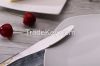 China stainless steel gold plated flatware