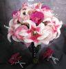 Exporter of Roses , Carnations , Orchids , Lilies , Gerbera