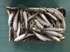 Frozen sardine fish fo...