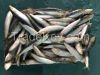 Frozen sardine fish fo...