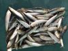 Frozen sardine fish fo...